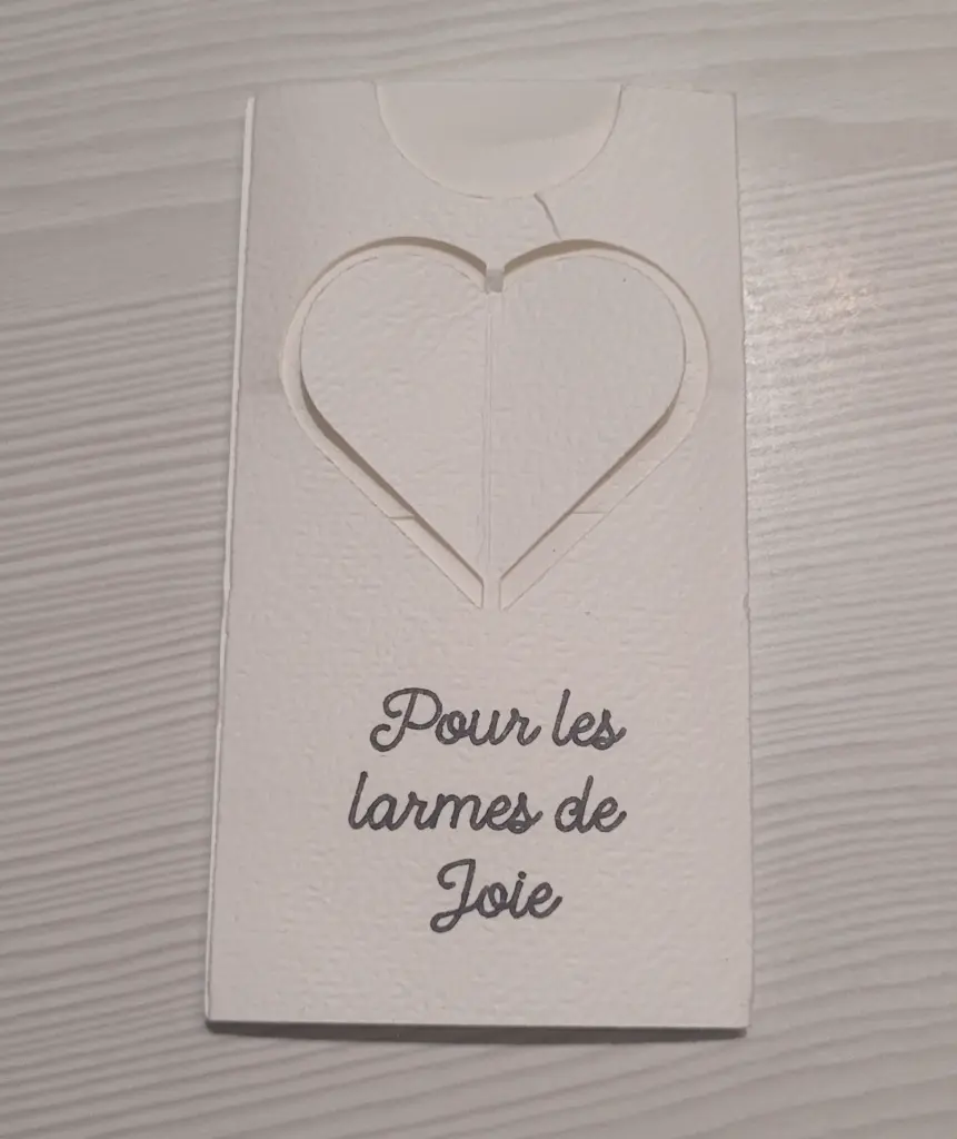 étui mouchoir7.webp