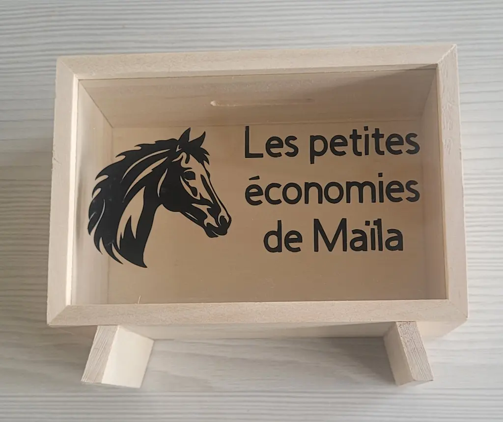 tirelire maila 2.webp