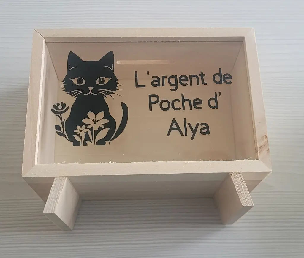 tirelire alya 2.webp