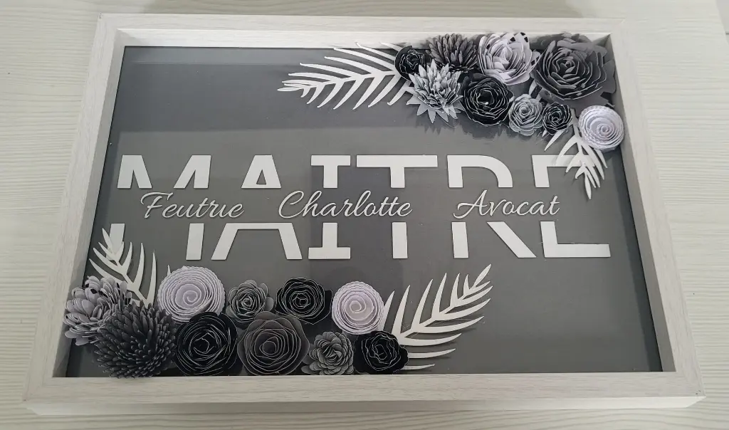 Cadre professionnel 30€