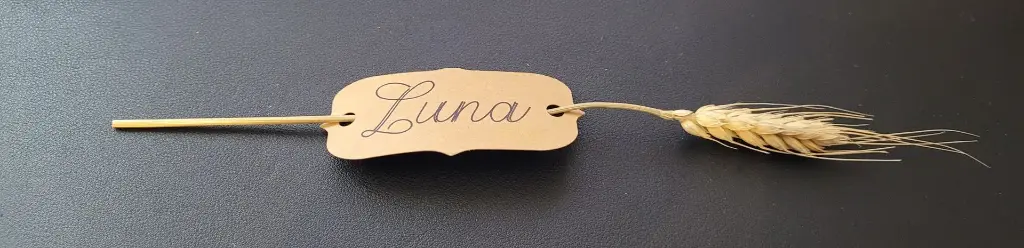 Marque place épi de blé 1.50€