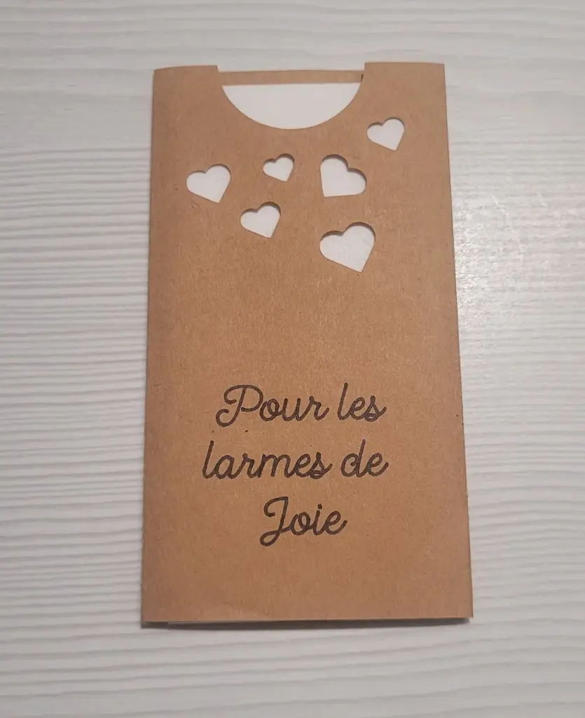 Étui à mouchoirs petits coeurs