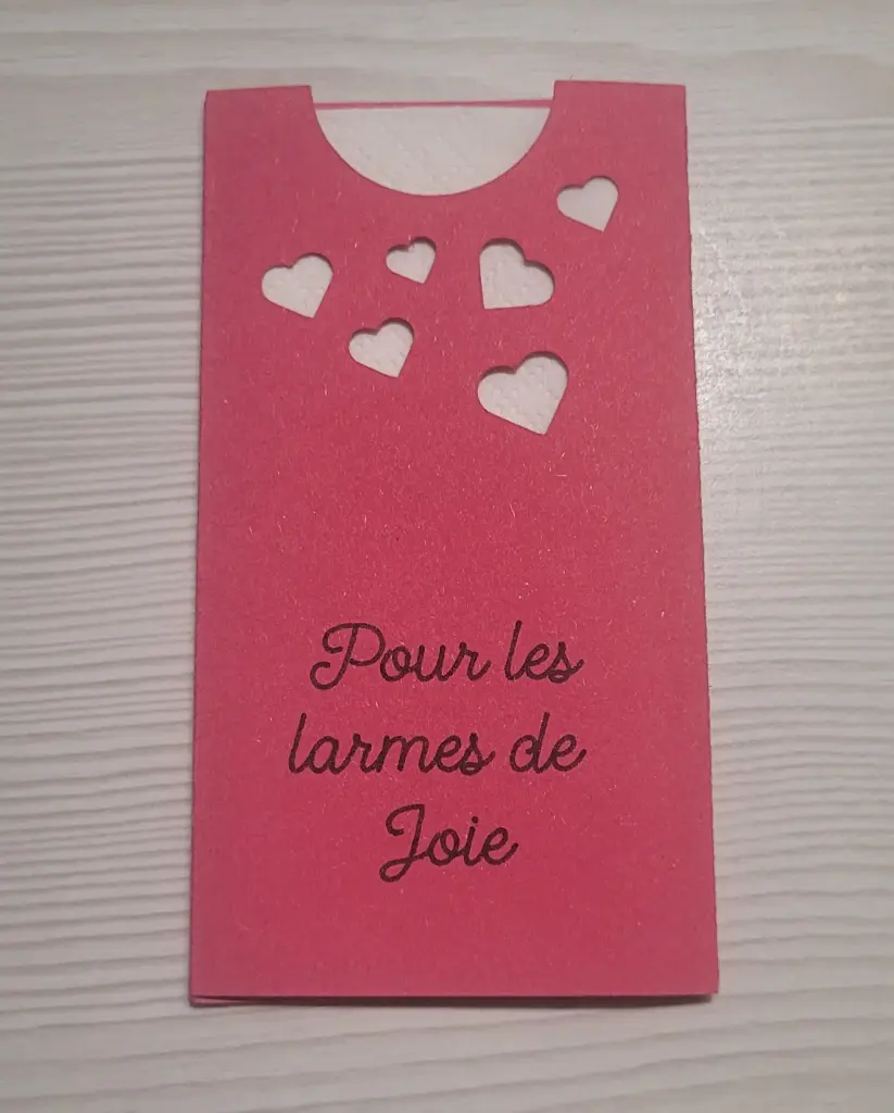 Étui à mouchoirs petits cœurs rose