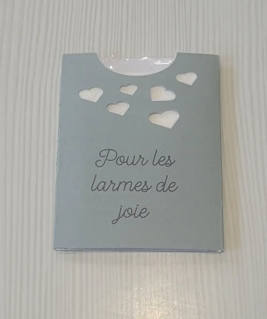 Étui à mouchoirs petit format petits cœurs