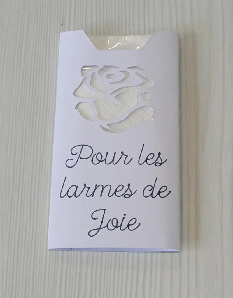 Étui à mouchoirs rose